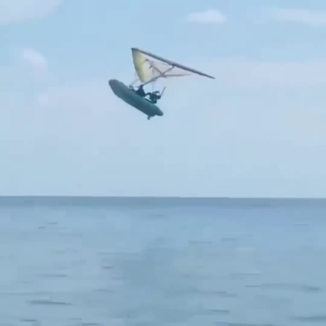 #животные #Милые #видео