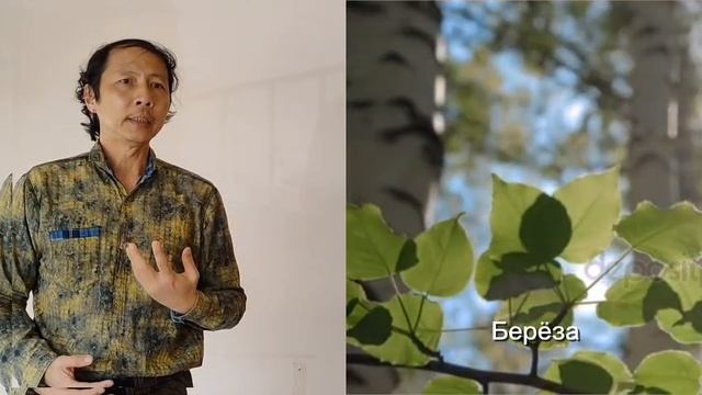 Сергей Есенин. Берёза   читает  Херри Виджая