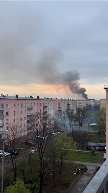 Смертельная дымка над городом: шансы на восстановление тают #экологическаякатастрофа #городскаяжизн