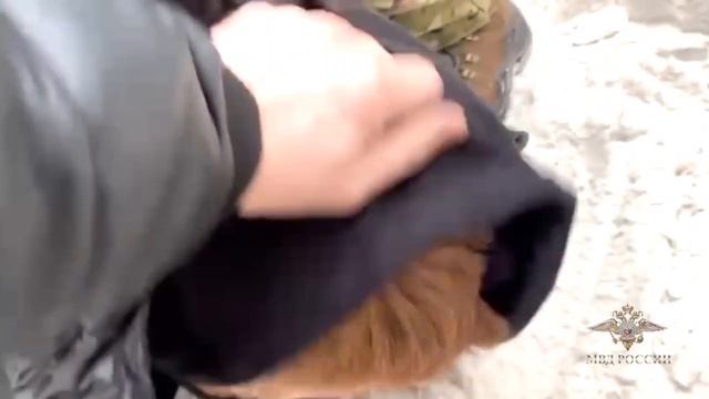 Video_2026-03-19_09-21-12