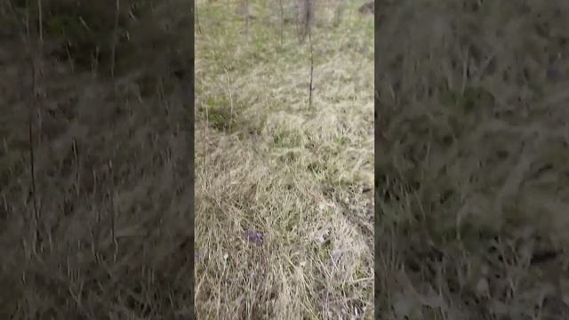 В отпуске на велике по полям🙂😂