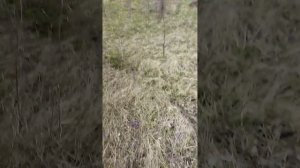 В отпуске на велике по полям🙂😂