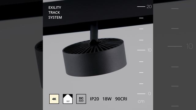 Светильник Maytoni Exility Rado TR040-2-18W4K