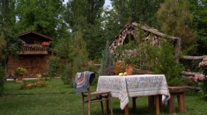 Kənd Həyatı. Простой сливово-вишнёвый соус — всего ОДИН ингредиент!