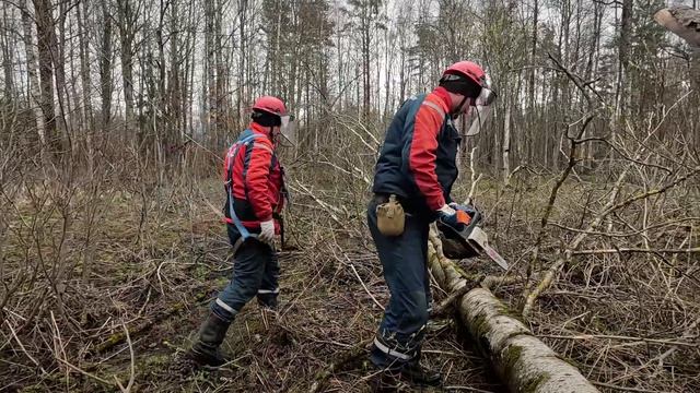 Энергетики 