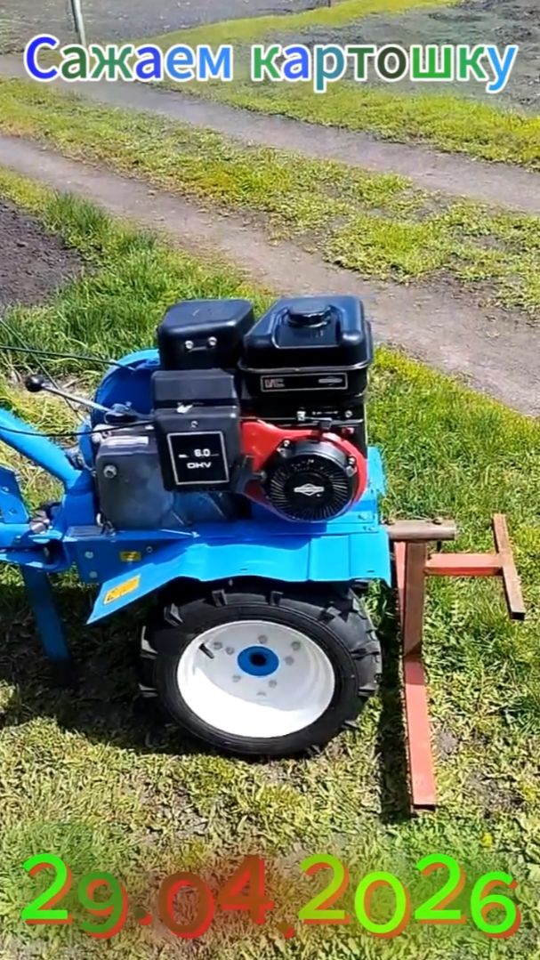29.04.2026 Сажаем картошку