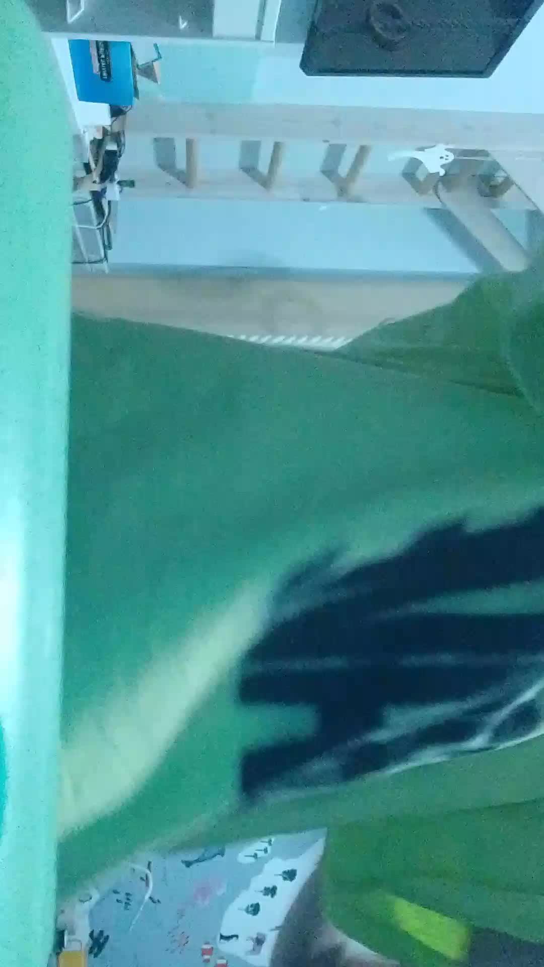 рандом стрим в гостях утдруга