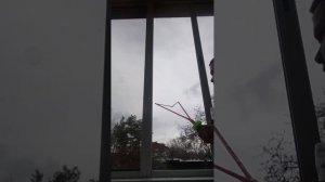 мыльные пузырикиᕕ( ᐛ )ᕗ