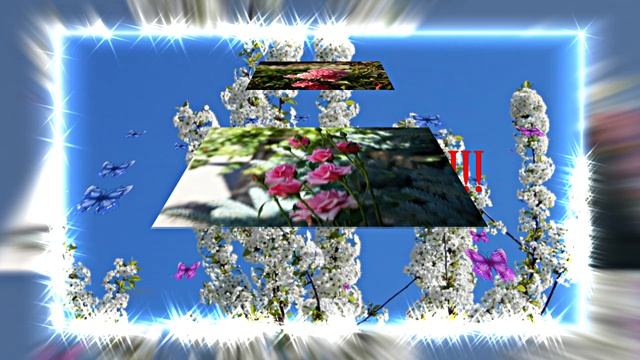 С 1 МАЯ!!! Поздравление к празднику 2 от Киностудии Мудрого Кота Тимофея!