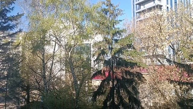 Доброе утро . Последний день апреля...