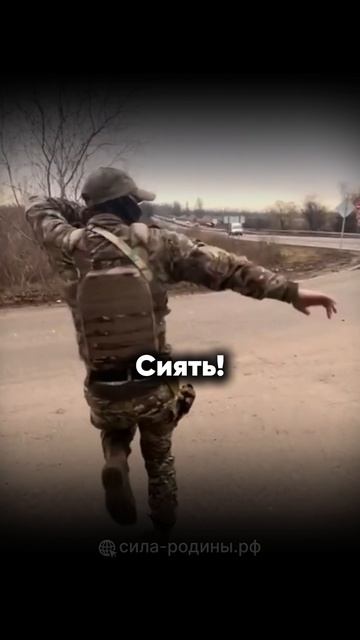 Сияй 🤩