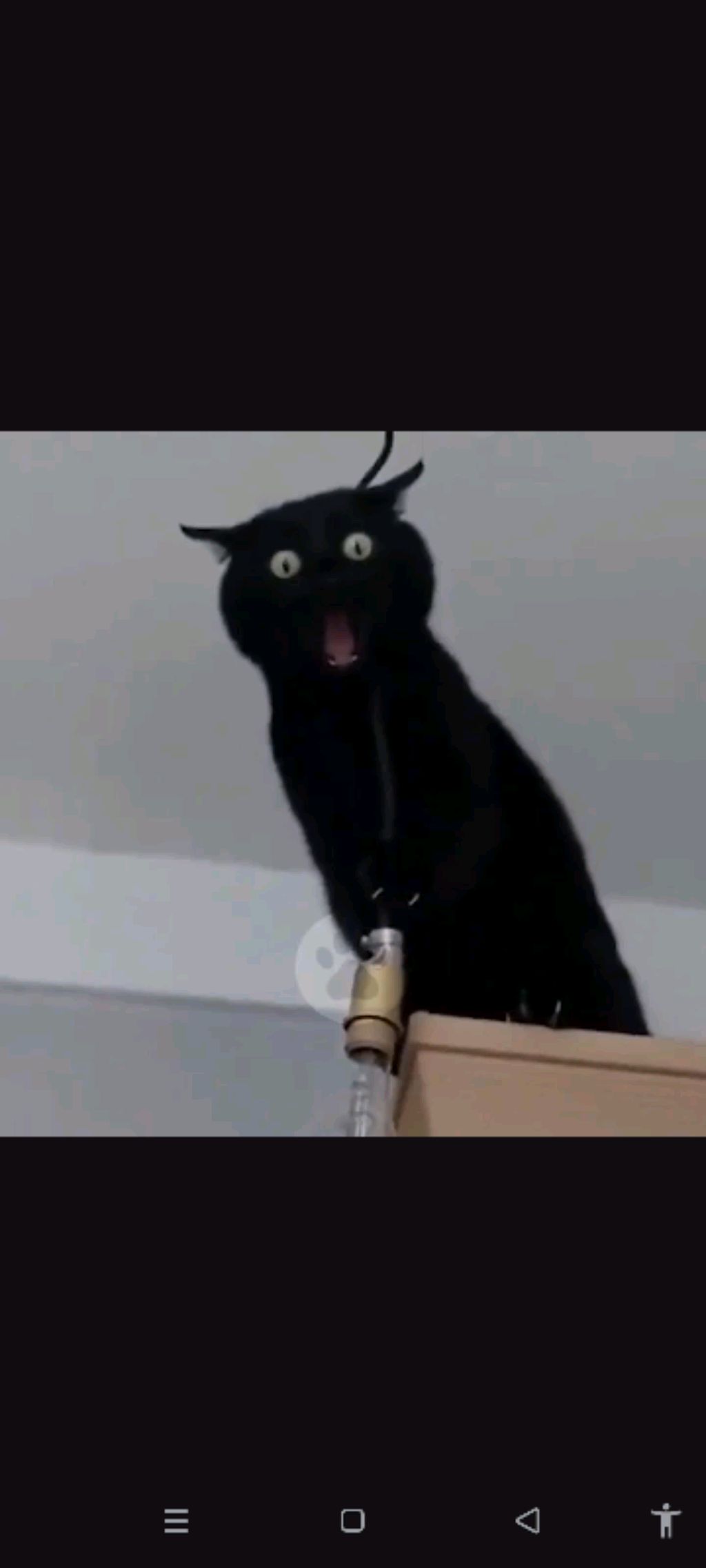 просто разговор....