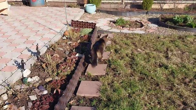 ✅️Наше доброе утро! 🌞