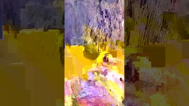 стрим с лампой