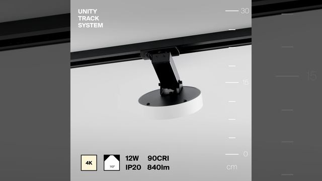 Светильник Maytoni Unity Zon TR043-1-12W4K-W