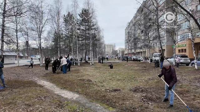 Общегородской субботник