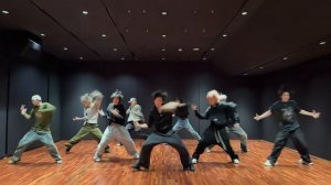 &team - Back To Life dance practice mirrored