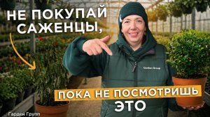 Сад вянет после покупки? Вот почему вы выбираете саженцы неправильно