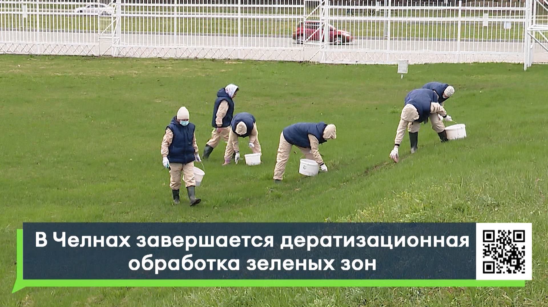 В Челнах завершается дератизационная обработка зеленых зон