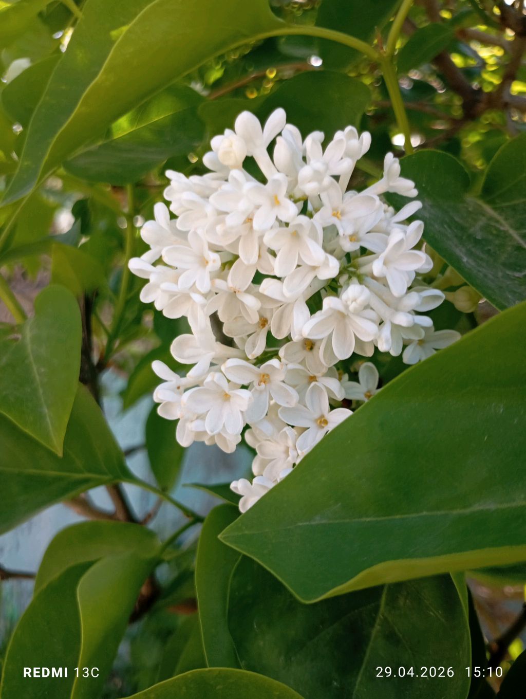 почему так долго