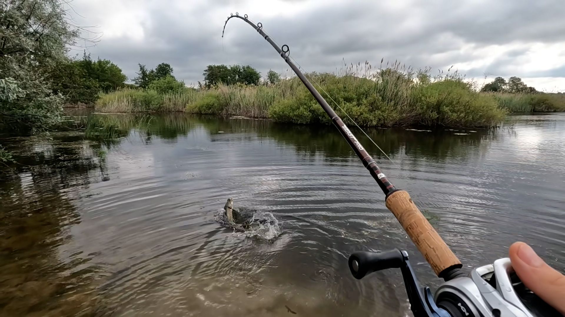 Щука на 4 кг. 980 г.