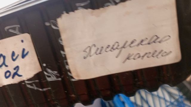 Огородный сезон 2026/2