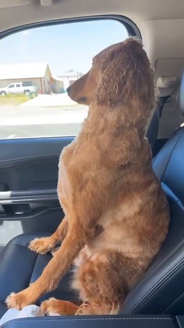 Очень драматично обиделся 😔))