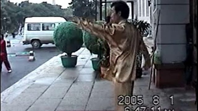 Baguazhang 八卦掌