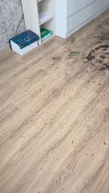 Видео от Департамент Вирусного Контента | ДВК