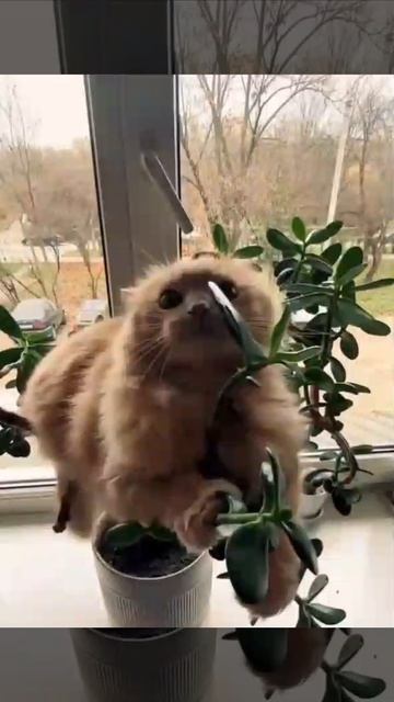 Страшнее зверя нет