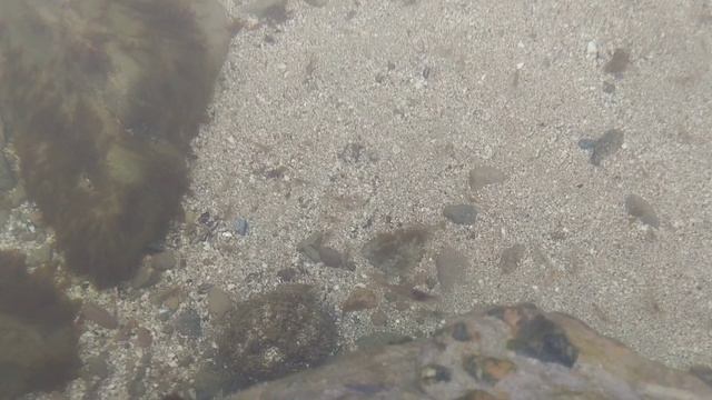 Азовское море в тумане