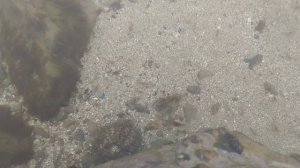 Азовское море в тумане