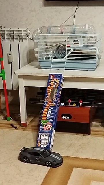 подвезли хомяка домой