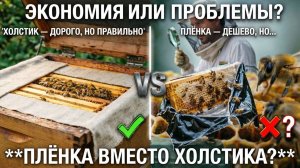 Плёнка вместо холстика: дешево и сердито? Отвечает профессор Кашковский 🎬🐝