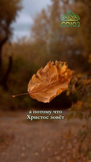 Как отпустить обиду?
