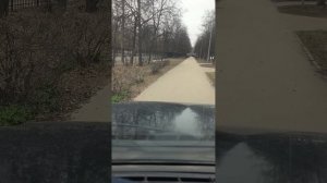 весенний перегон прицепа карусели из СНТ в парк