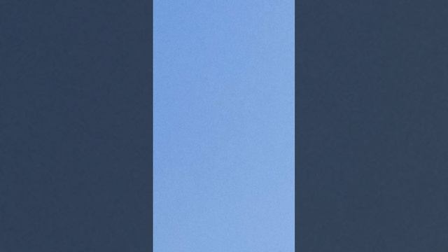 первые лидеры