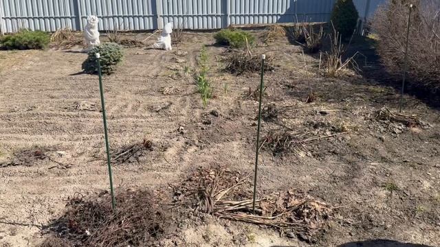 Снег растаял, и уже первые работы на дачном участке🏡🏡🏡.