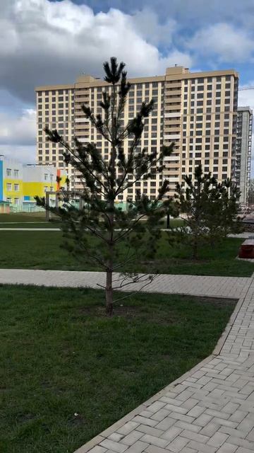 Новые Горизонты 2