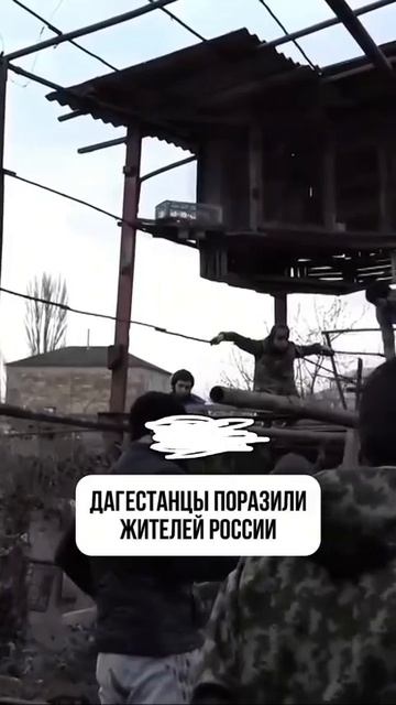ДАГЕСТАНЦЫ ПОРАЗИЛИ ЖИТЕЛЕЙ РОССИИ