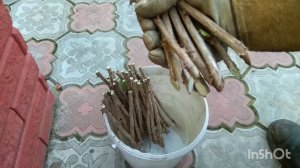 Размножение крыжовника черенками.
