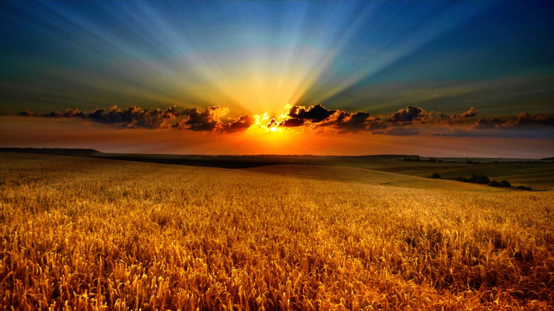 ✨ УСПОКАИВАЮЩАЯ МУЗЫКА ДЛЯ СНА 1,5 ЧАСА🎵 КРАСИВАЯ РЕЛАКС МУЗЫКА ДЛЯ ДУШИ 🎵 МУЗЫКА ДЛЯ МЕДИТАЦИИ