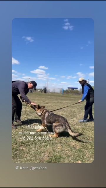 БА Бьёрн, первая серьезная тренировка