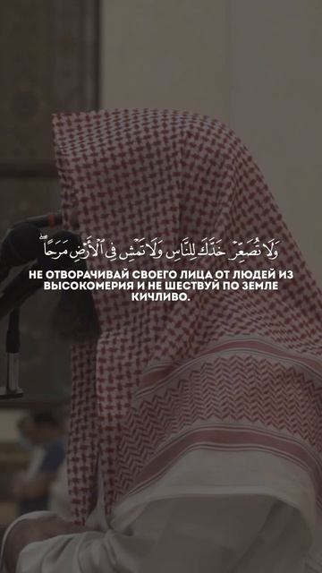 чтение Корана сура 31 Лукман аяты 17-19 чтец Мухаммад ал Лухаидан