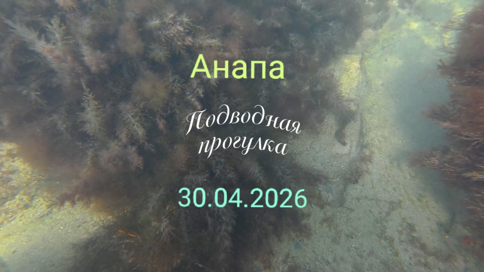 Анапа 30.04.2026 Подводная прогулка