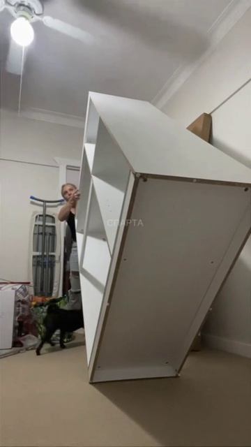 Феминистки зачем им мужики 🧑🦱👱🧑🦰