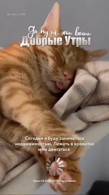 Открытки любимым 🌸🥰