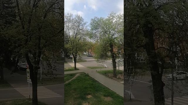 VID_20260430_072207.mp4