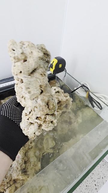 Живые камни - Индонезия