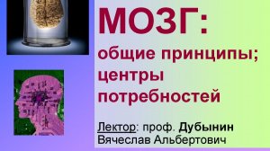 Физиология потребностей 9 - Иерархия. Лидерство и подчинение